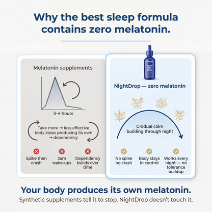 WestMonth™ — NightDrop Sleep Formula